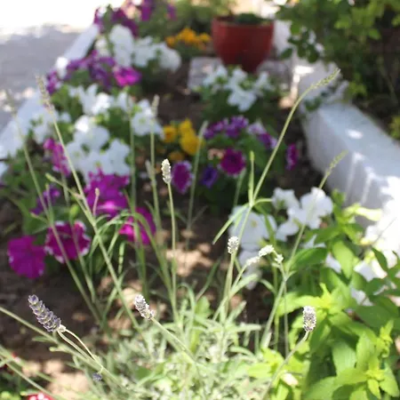 Nana's Ormos Panagias